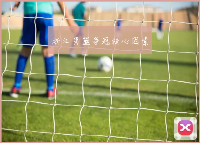 浙江男篮争冠核心因素