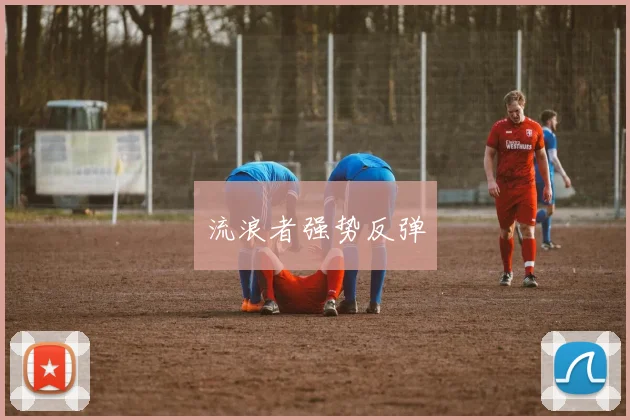流浪者强势反弹