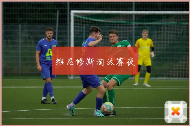维尼修斯淘汰赛夜