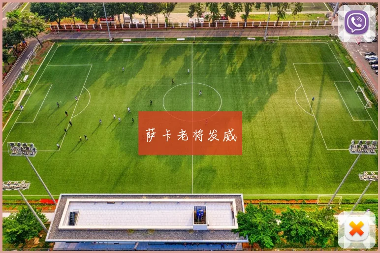 萨卡老将发威