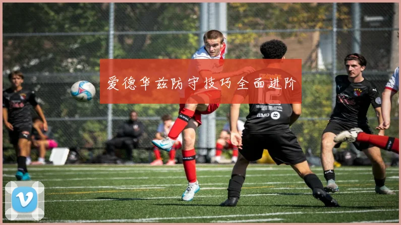 爱德华兹防守技巧全面进阶