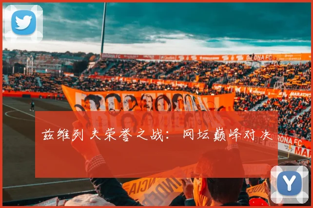 兹维列夫荣誉之战：网坛巅峰对决