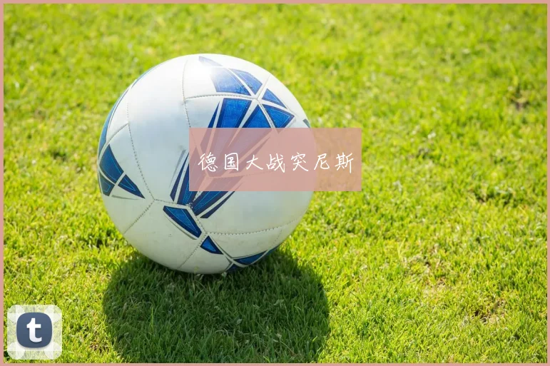 德国大战突尼斯
