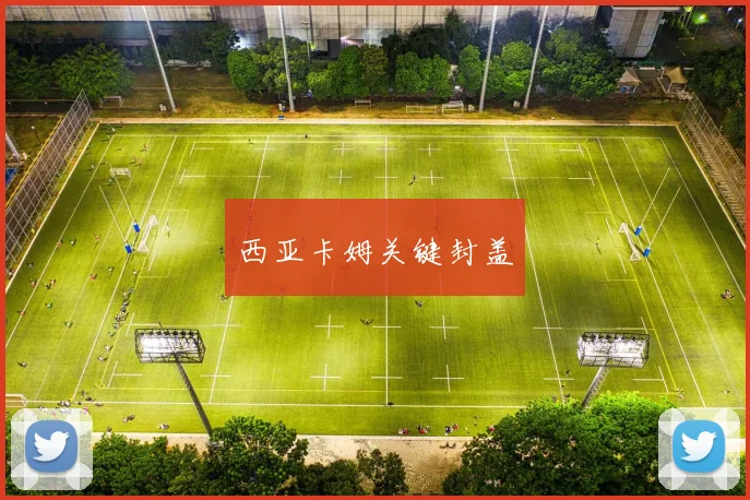 西亚卡姆关键封盖