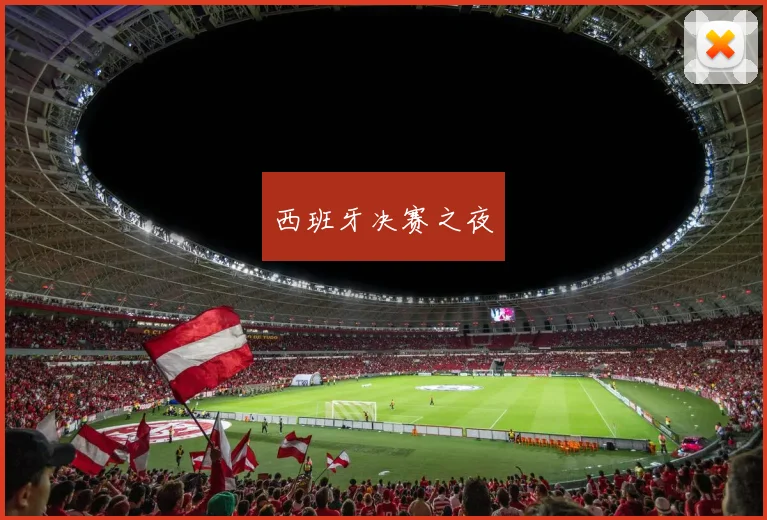 西班牙决赛之夜