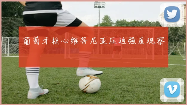 葡萄牙核心维蒂尼亚压迫强度观察