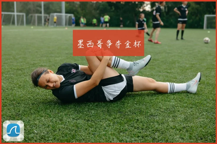 墨西哥争夺金杯