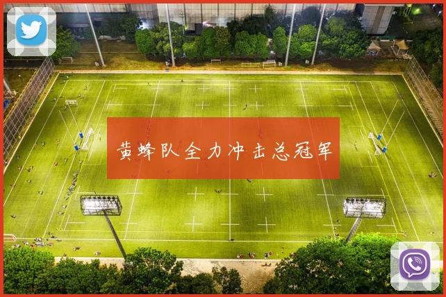 黄蜂队全力冲击总冠军