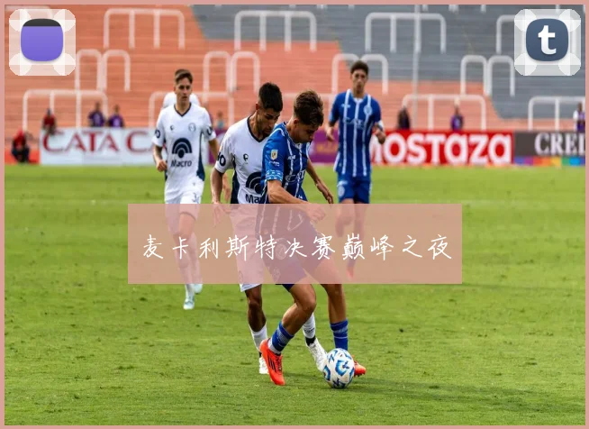 麦卡利斯特决赛巅峰之夜