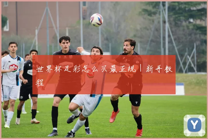 世界杯足彩怎么买最正规｜新手教程