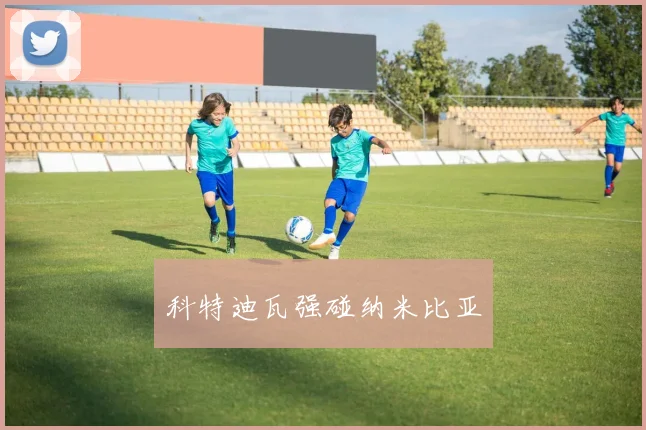 科特迪瓦强碰纳米比亚