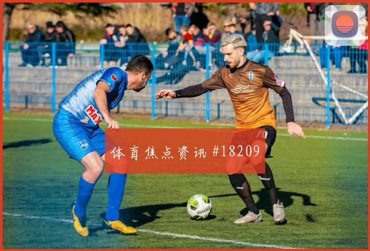 世界杯土耳其vs巴拉圭传控比例