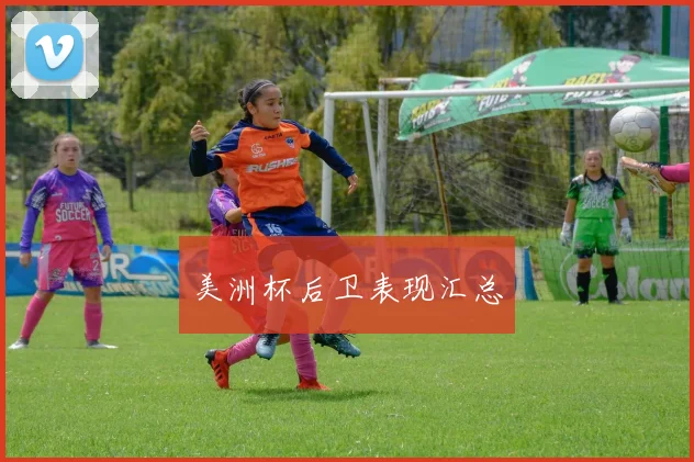 美洲杯后卫表现汇总