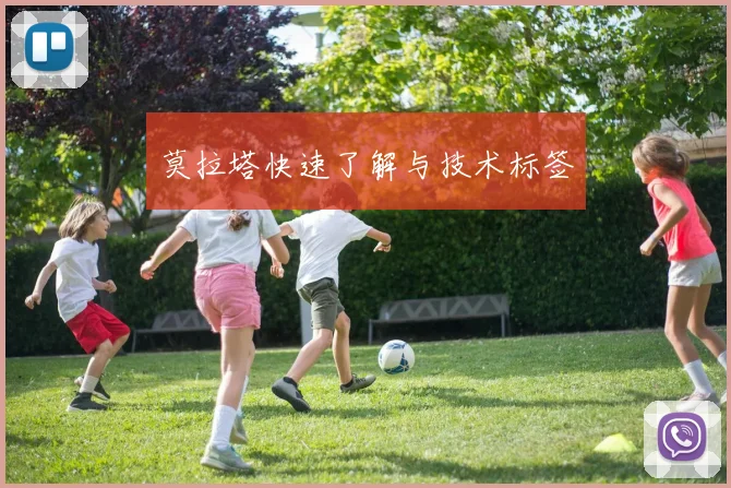 莫拉塔快速了解与技术标签